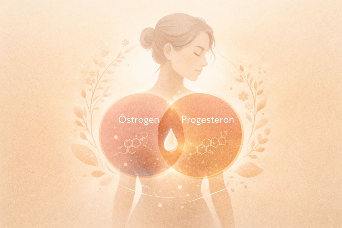 Estrogen & Progesterone – The Powerful Duo of Your Female Cycle